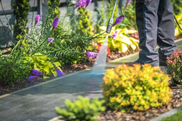 Best Pool Deck Cleaning  in Lewisburg, PA